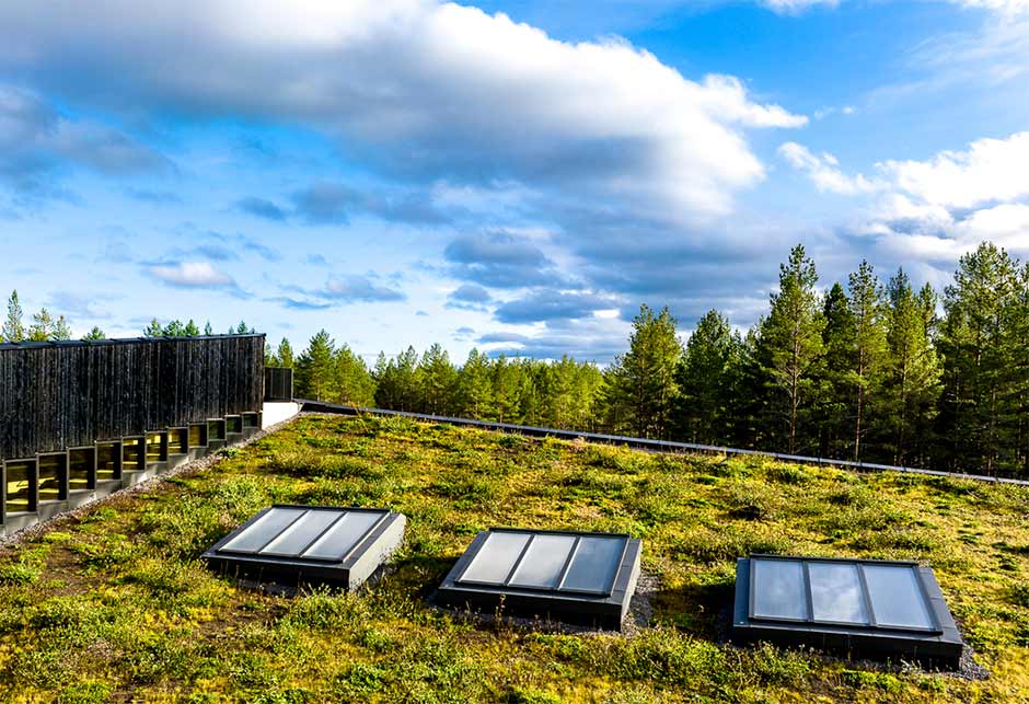 Utvendig bilde av 3 overlys moduler på rad på det grønne miljøvennlige taket.