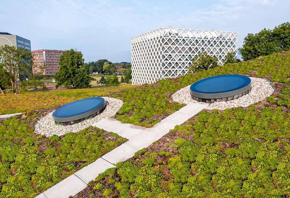 VELUX modulära planglas – circularlight –    på det gröna taket av Wageningen Research and University