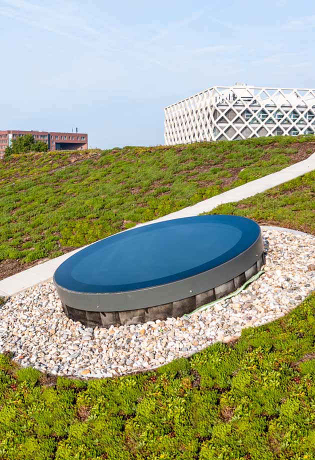VELUX Modular Rooflight – Circularlight - on the green roof of Wageningen Research and UniversityModulære glasplanlys – Circularlight –    på det grønne tag på Wageningen University & Research