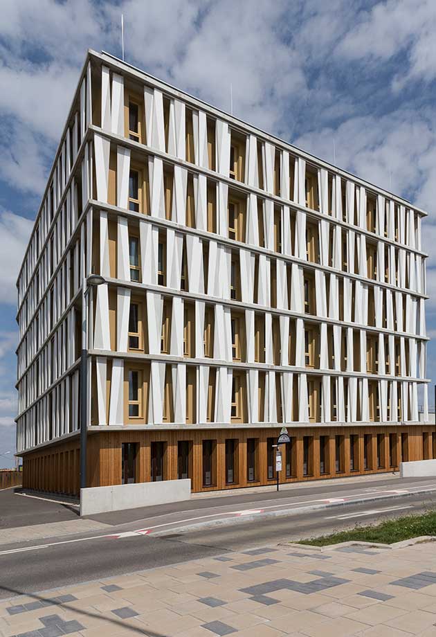 Der Einsatz von weißen Fassadenelementen rundet den Look dieses Büros mit Holzoptik ab, Seestadt, Wien.